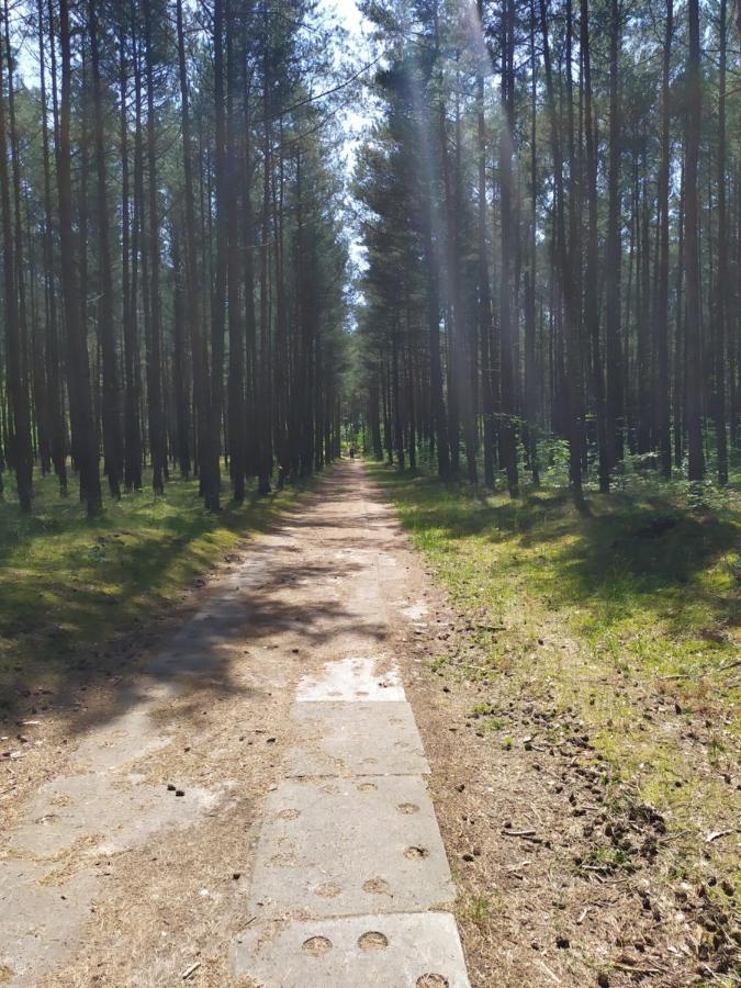 Home&Slow Life Gdansk Ngoại thất bức ảnh