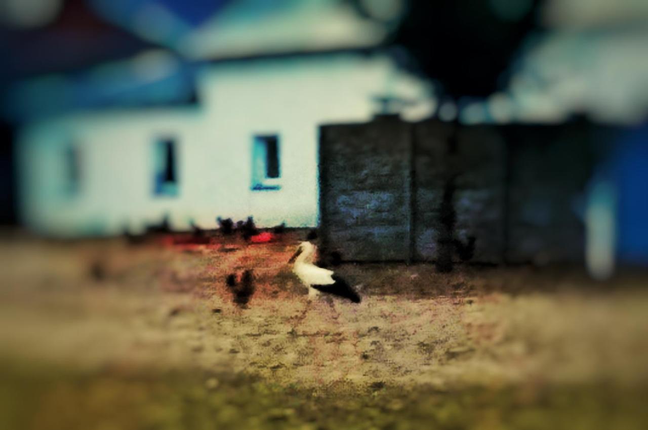 Home&Slow Life Gdansk Ngoại thất bức ảnh